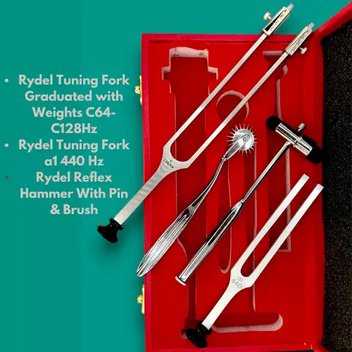 Rydel Seiffer tuning fork with vibration scale