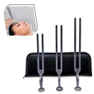 Gardiner Brown Tuning Fork Set